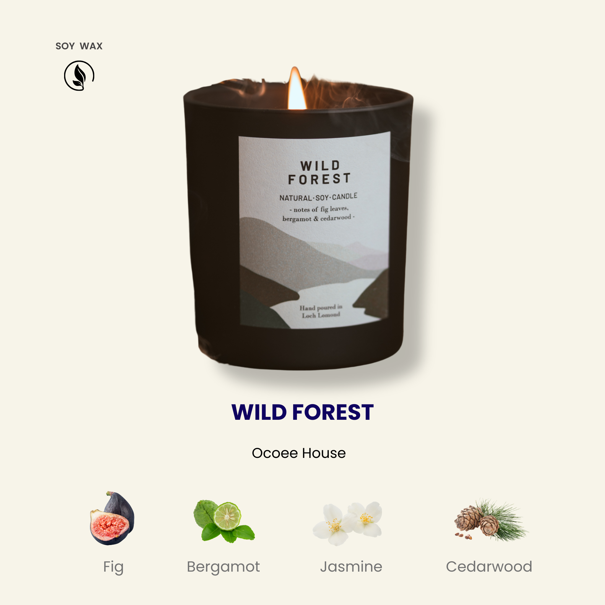 Wild Forest