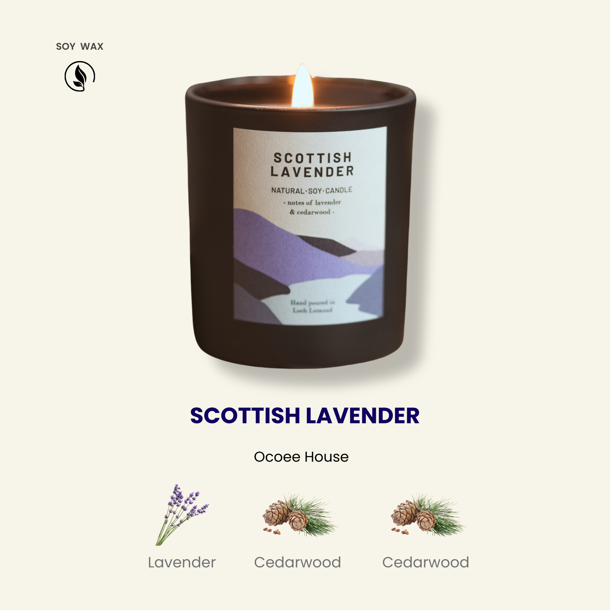 Scottish Lavender