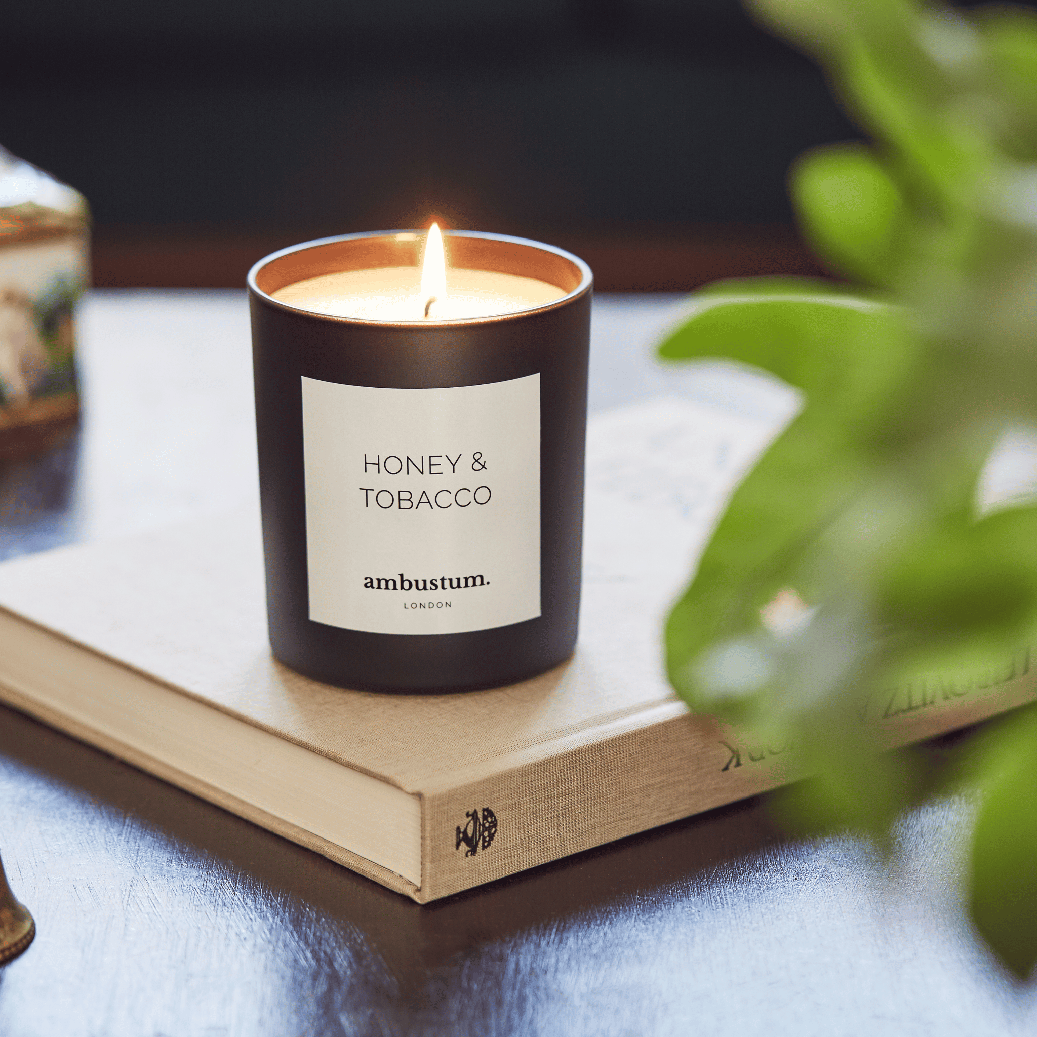 luxury candle honey tobacco Bourbon | Hand-Poured Coconut Wax burning alternative to paraffin candles. Luxury Candle - Dark Honey