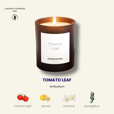 Tomato Leaf