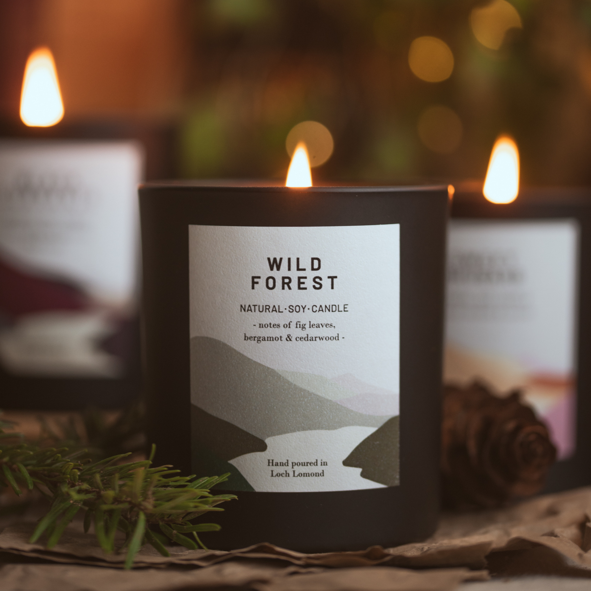 Wild Forest