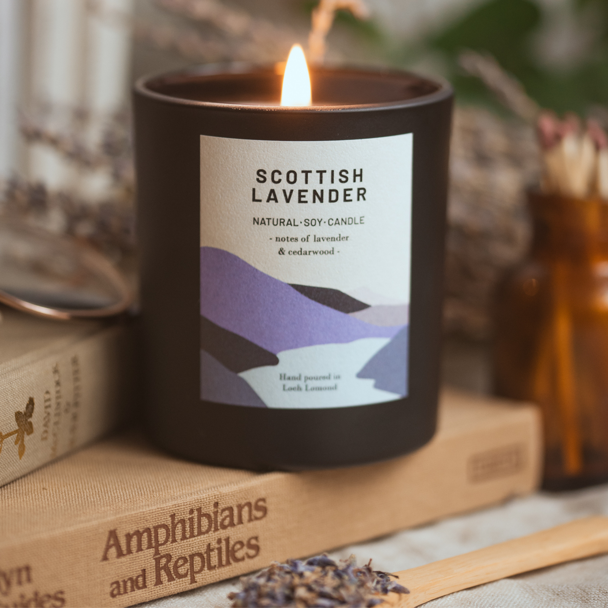 Scottish Lavender